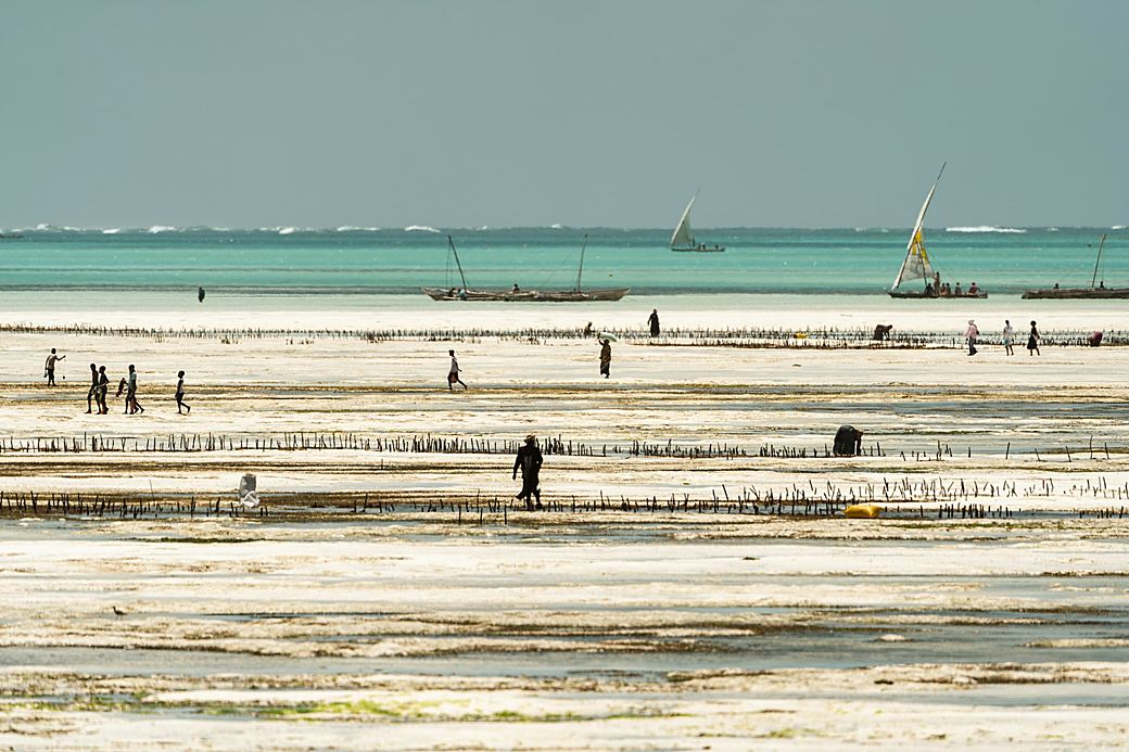 Jambiani white sand beach
