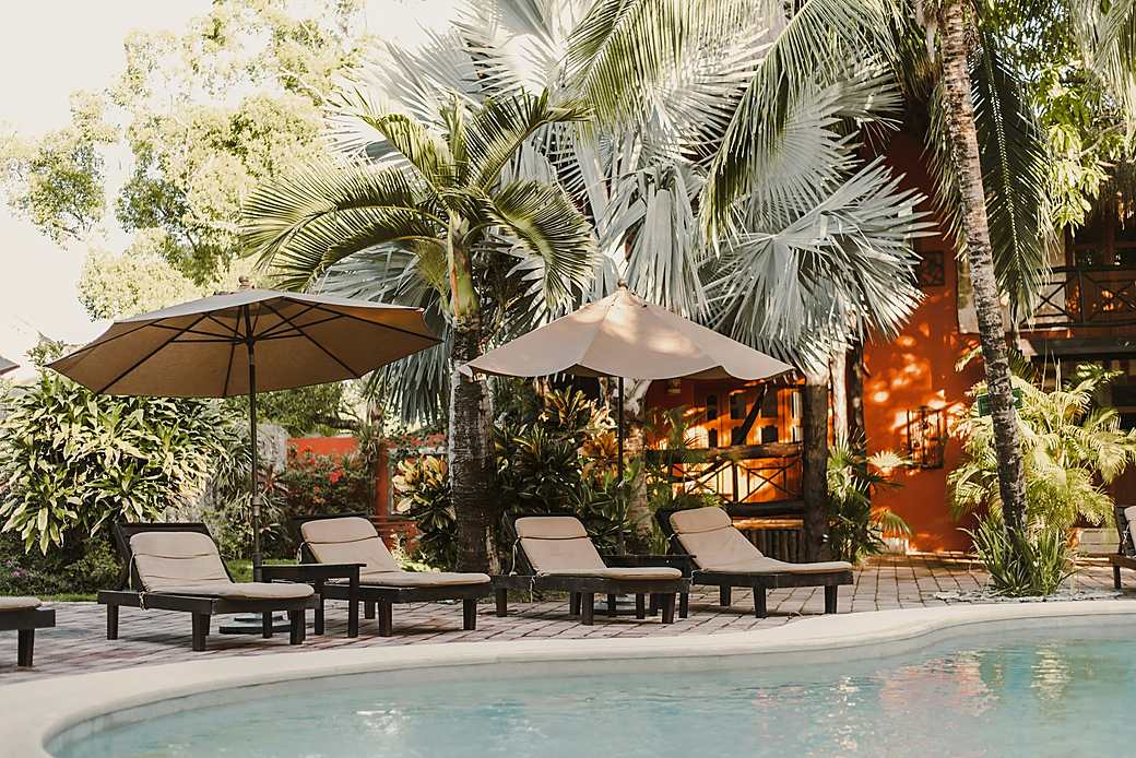 Tropical garden