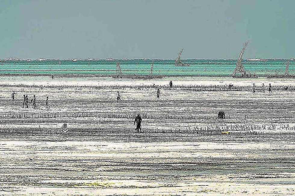Turquoise water and white sand at Jambiani beach
